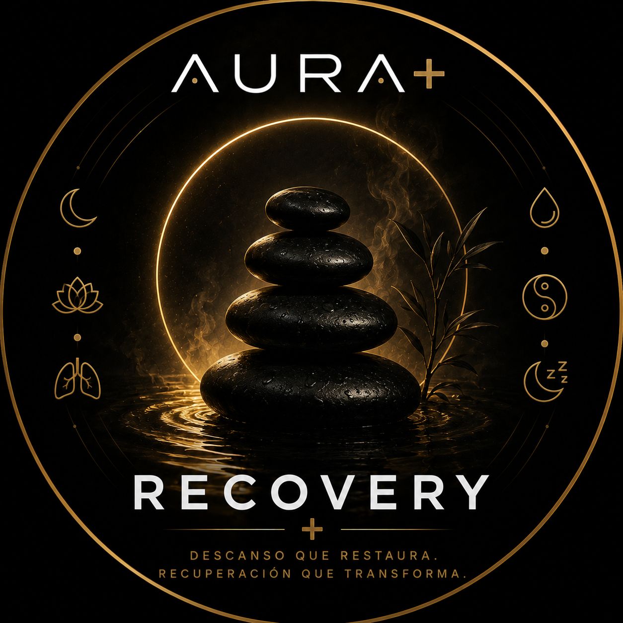 Aura Recovery System